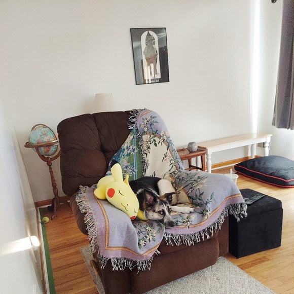 Meet your Posher, Xander - Picture 1 of 1